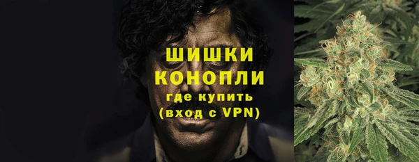 сатива Семёнов