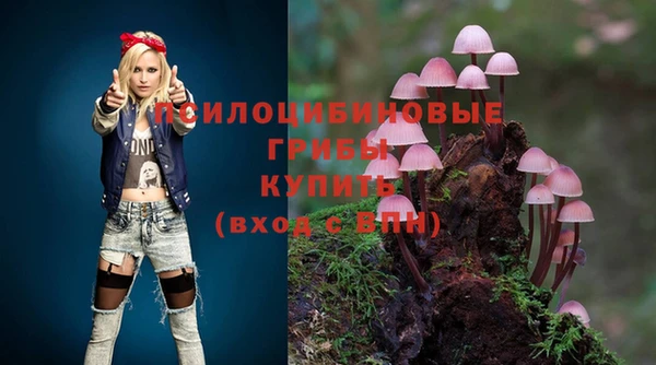 круглые Аркадак