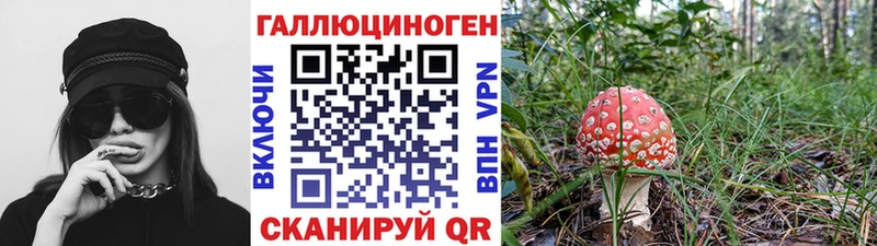 Псилоцибиновые грибы мухоморы  купить закладку  Ельня 