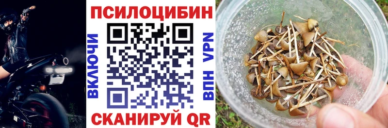 Псилоцибиновые грибы ЛСД Ельня